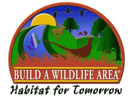 Build a Wildlife Area